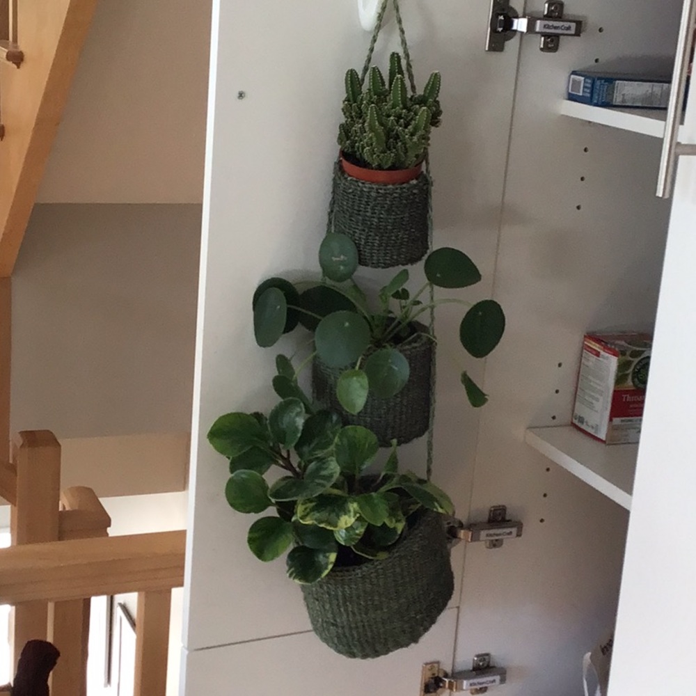 Hanging basket decor
